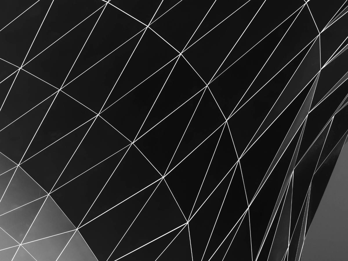 A dark, triangulated architectural ceiling, representing the structured systems behind a health business's software